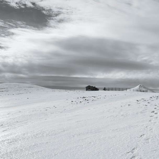 2 personas caminando sobre un terreno cubierto de nieve durante el día rompecabezas en línea
