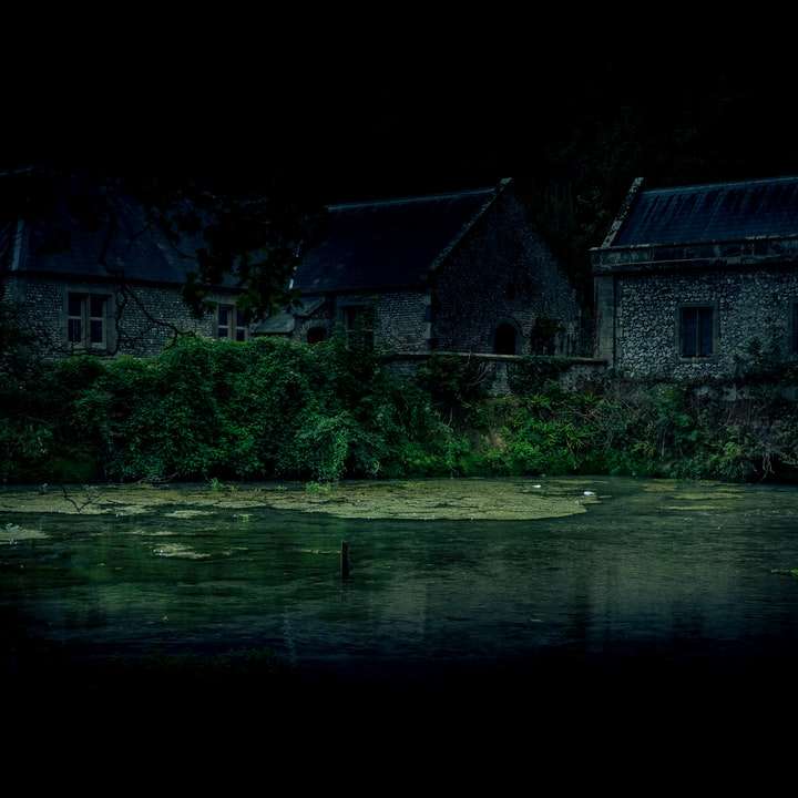 casa di cemento grigio accanto al fiume durante la notte puzzle scorrevole online