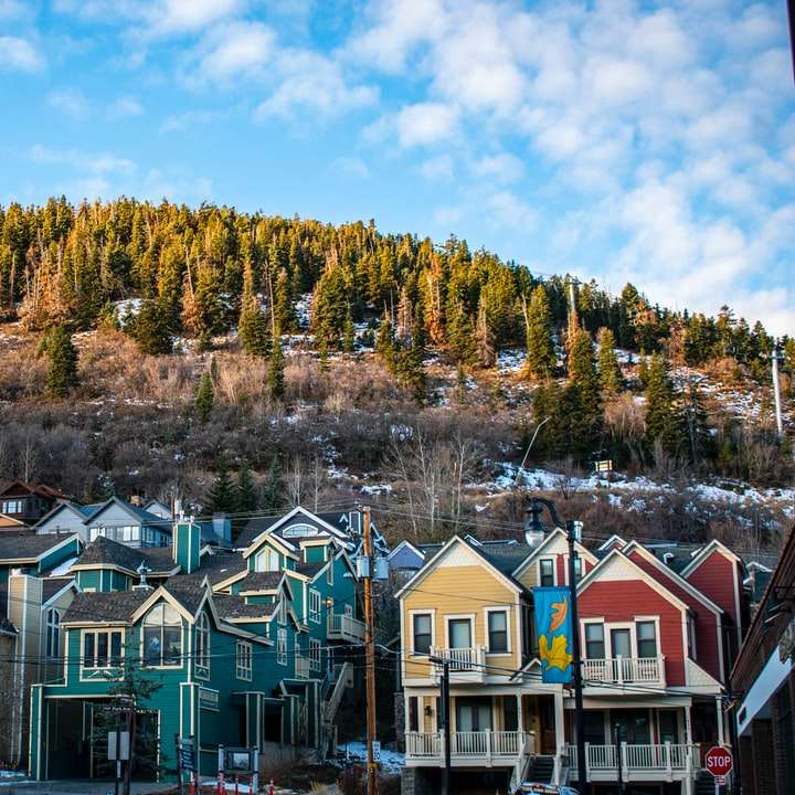 grünes und braunes Haus nahe grünen Bäumen unter blauem Himmel Schiebepuzzle online