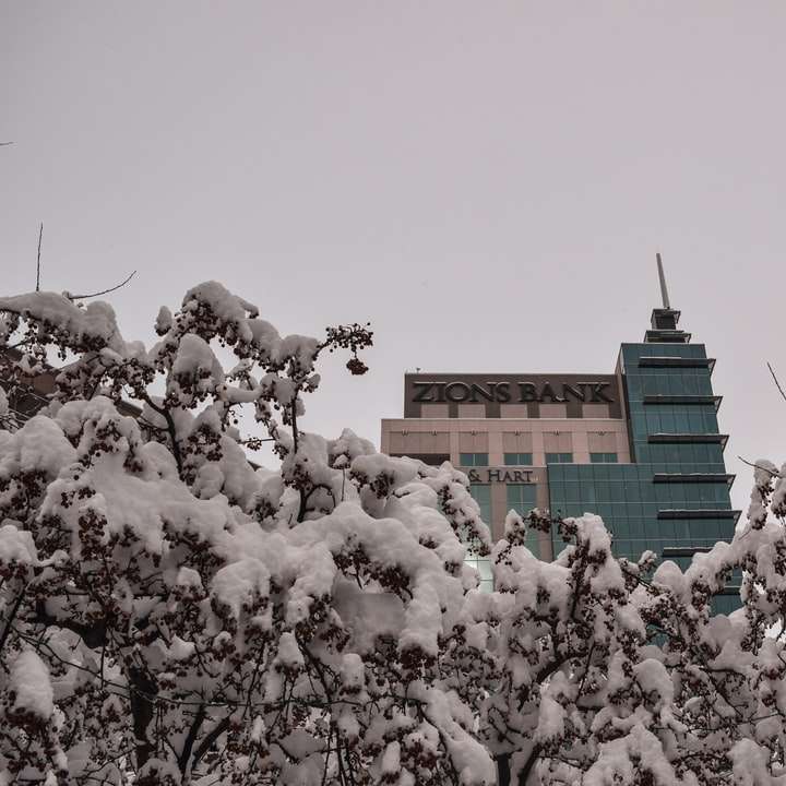 Bâtiment en béton brun recouvert de neige blanche puzzle coulissant en ligne