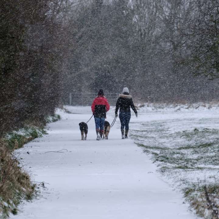 2 άτομα που περπατούν σε χιονισμένο πεδίο κατά τη διάρκεια της ημέρας συρόμενο παζλ online