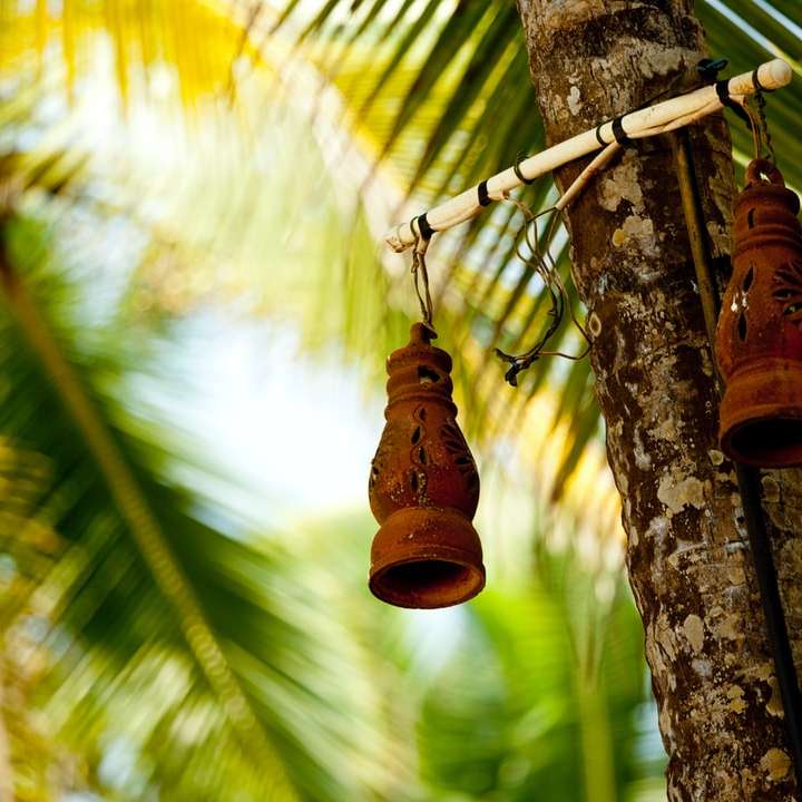 Lámpara colgante marrón en la rama de un árbol durante el día puzzle deslizante online