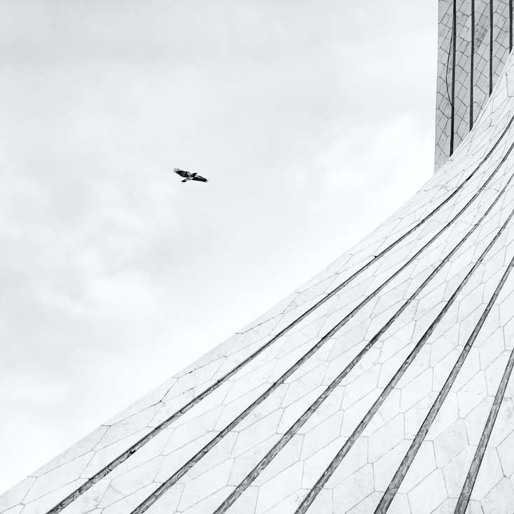 建物の上を飛んでいる飛行機のローアングル写真 オンラインパズル