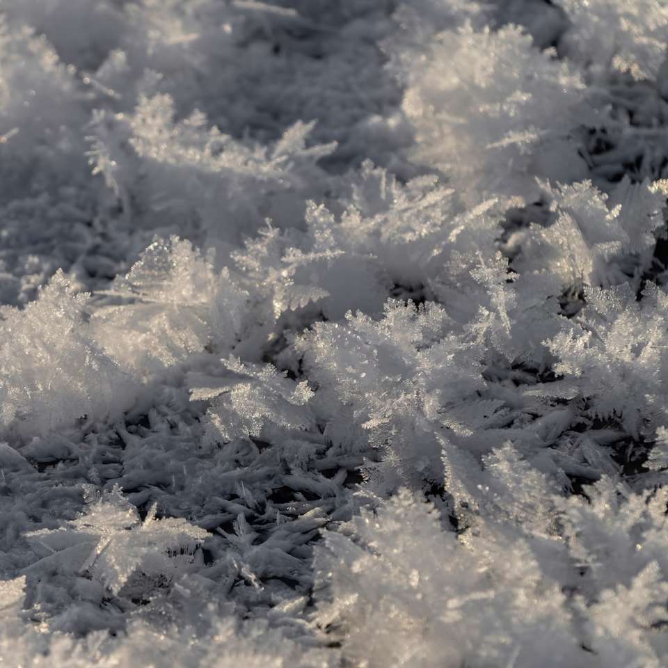 λευκό χιόνι σε πράσινο γρασίδι πεδίο συρόμενο παζλ online