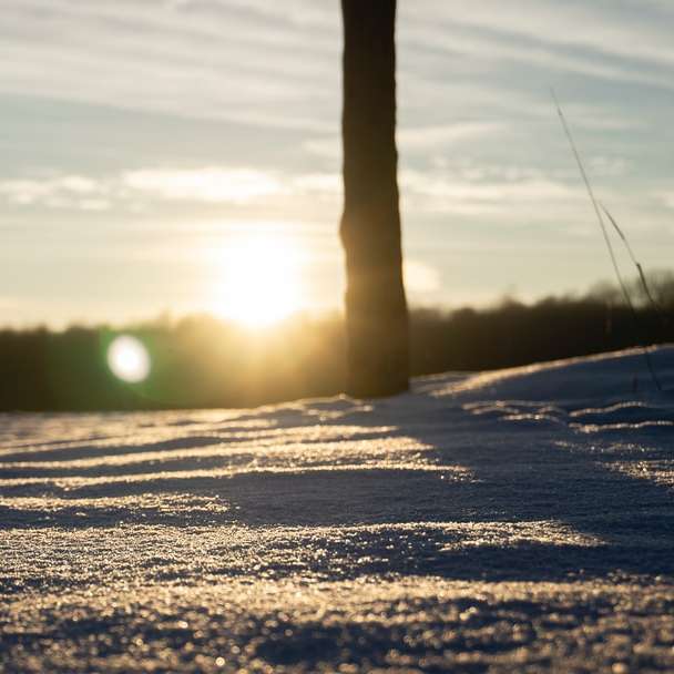 champ couvert de neige au coucher du soleil puzzle coulissant en ligne