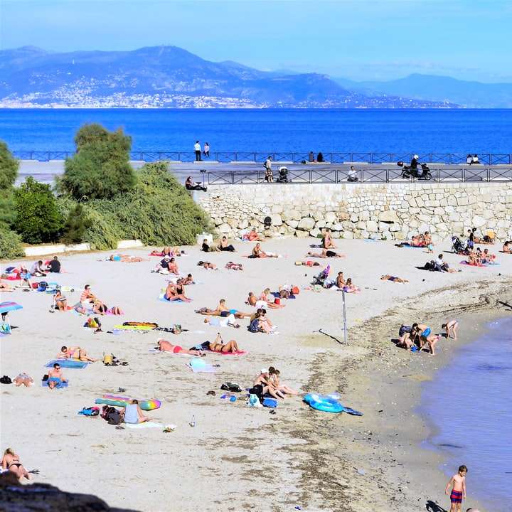 persone sulla spiaggia durante il giorno puzzle scorrevole online