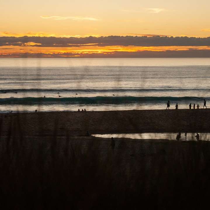 Menschen am Strand während des Sonnenuntergangs Online-Puzzle