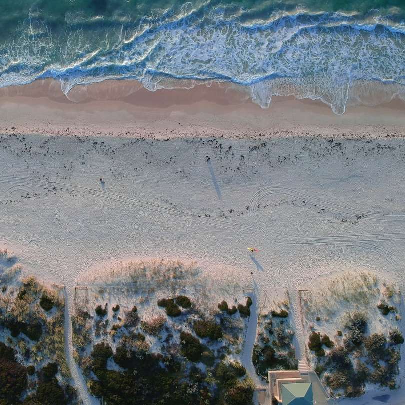 vista aérea de la playa durante el día. rompecabezas en línea