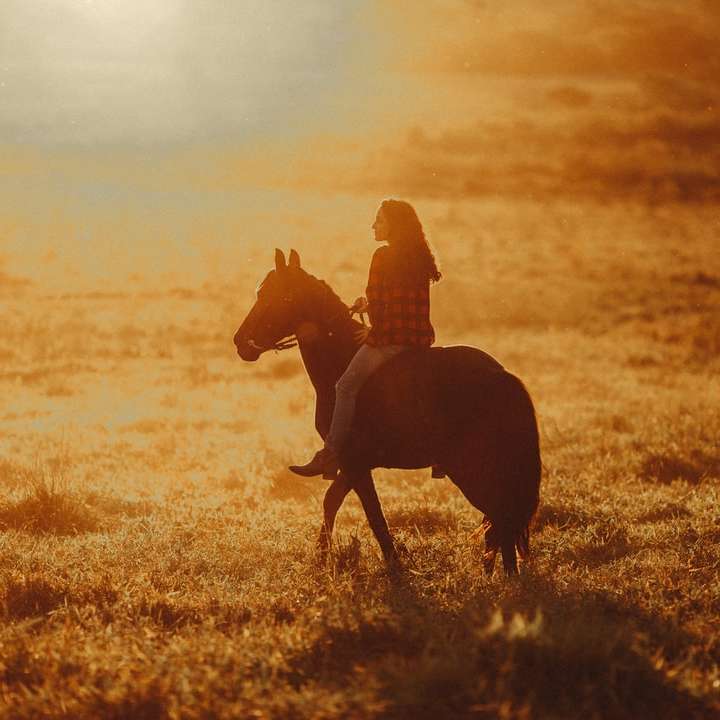 vrouw in zwarte jas bruin paard rijden online puzzel