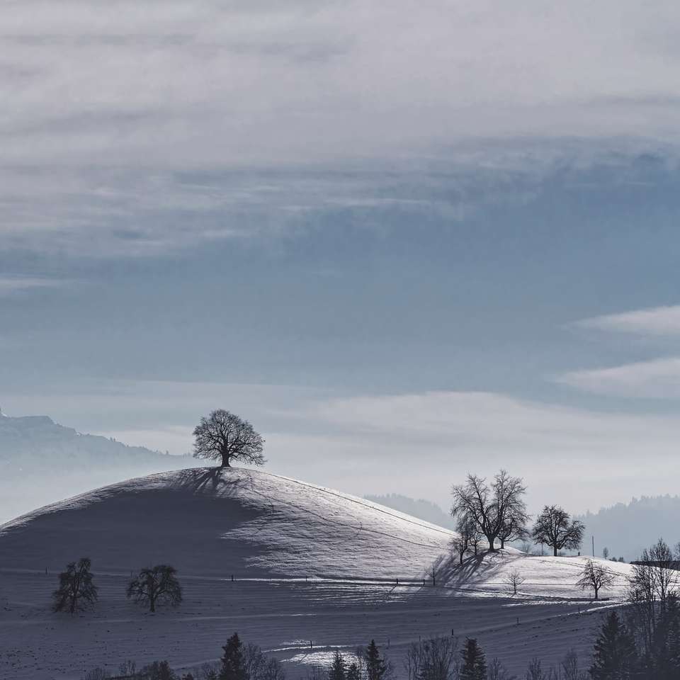 nagie drzewa na ziemi pokryte śniegiem pod białym zachmurzonym niebem puzzle przesuwne online