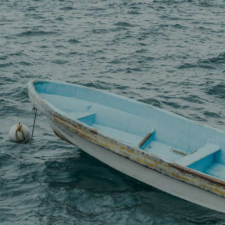 vit och blå båt på vattnet under dagtid Pussel online