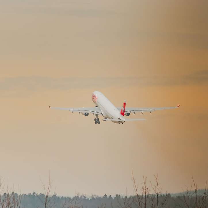 бял и червен пътнически самолет, летящ през деня плъзгащ се пъзел онлайн
