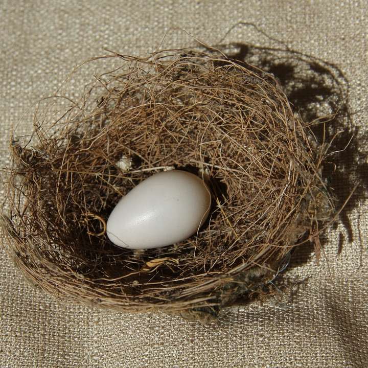 ovo branco no ninho marrom puzzle deslizante online