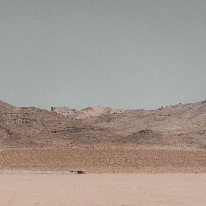 хора, ходещи през пустинята през деня онлайн пъзел