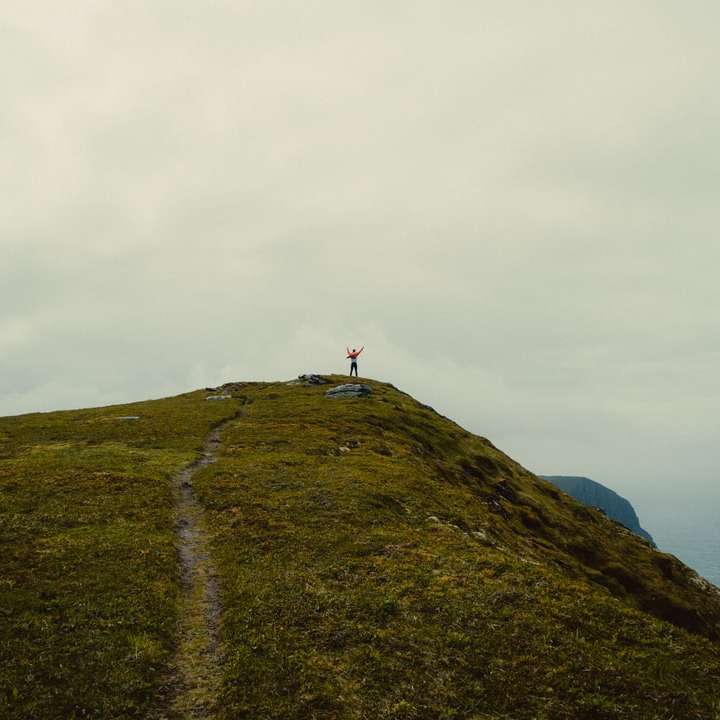 osoba stojąca na polu zielonej trawie pod białym pochmurnym niebem puzzle online
