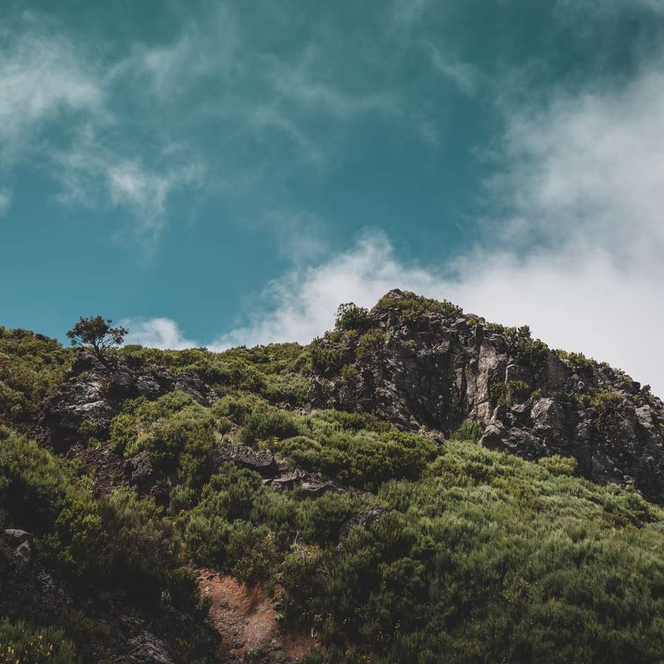 montanha verde e marrom sob o céu azul durante o dia puzzle deslizante online