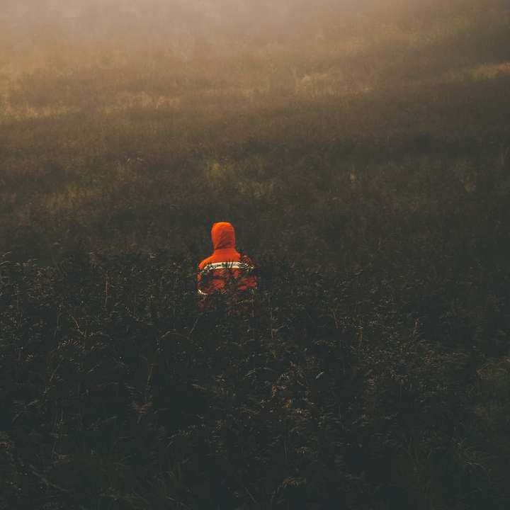 човек в оранжев качулка, седнал на тревно поле онлайн пъзел