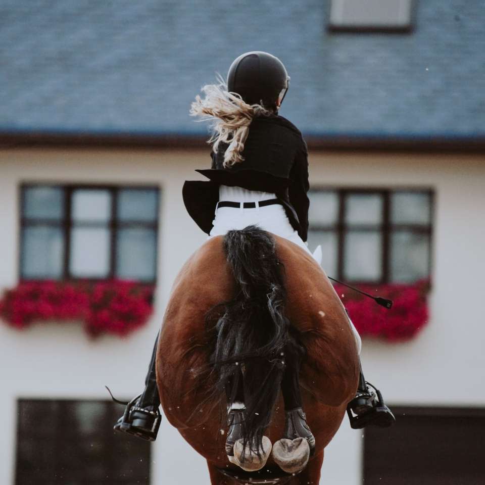 Mann im Schwarzweiss-Kostüm, das auf braunem Pferd reitet Online-Puzzle