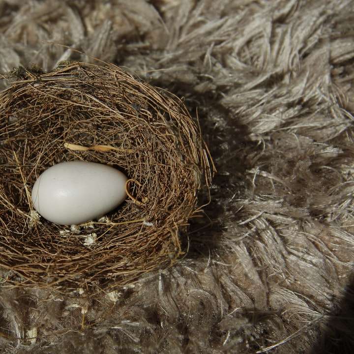 біле яйце на коричневе гніздо онлайн пазл