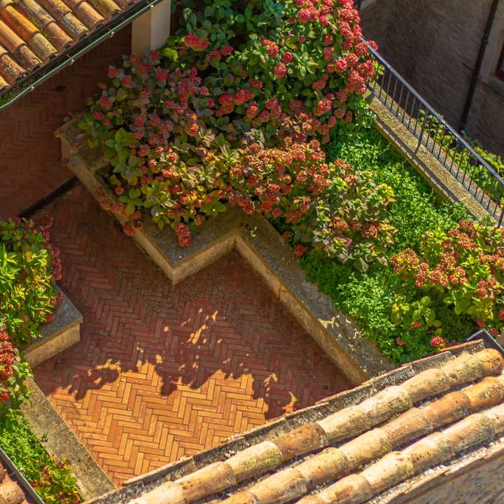 planta verde e vermelha em parede de tijolo marrom puzzle online
