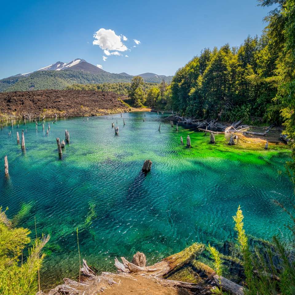 oameni înotând în lac lângă copaci verzi și munte alunecare puzzle online