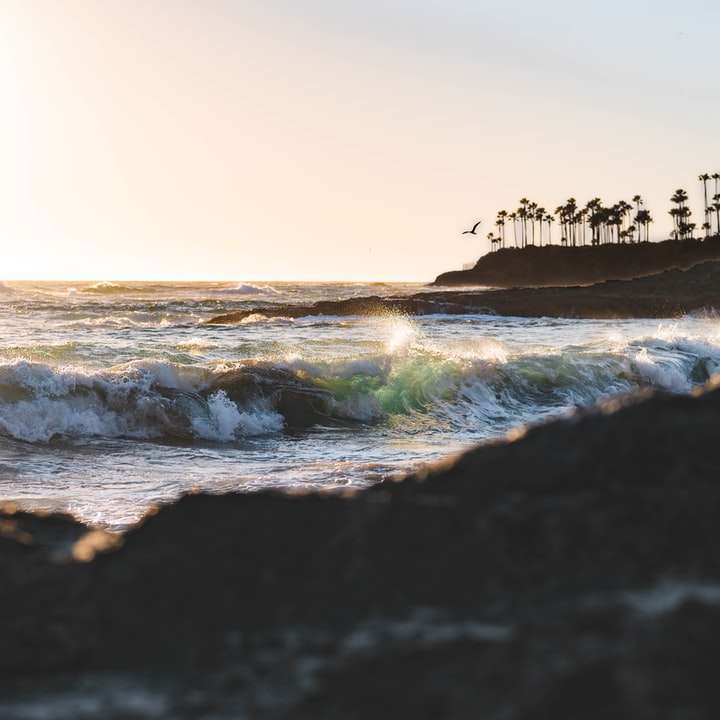 vagues de l'océan s'écraser sur le rivage au coucher du soleil puzzle en ligne