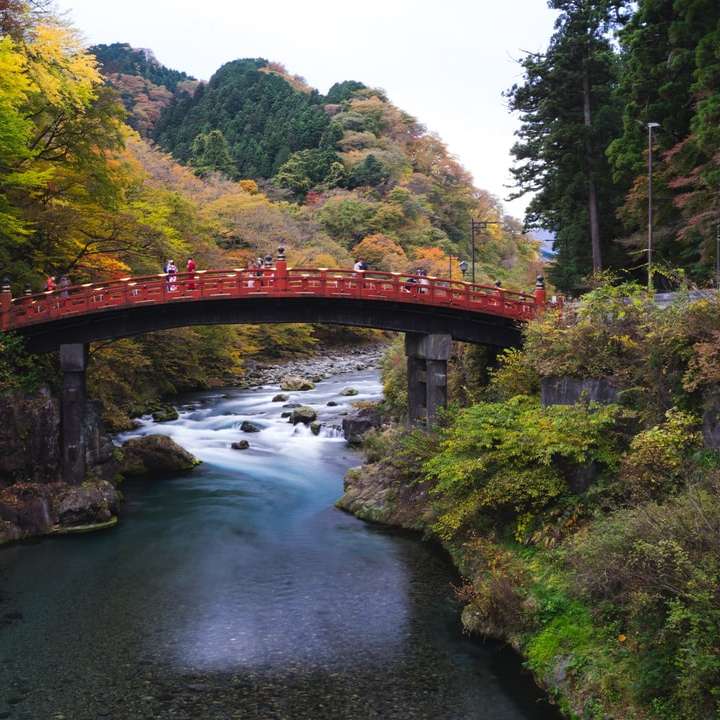 czerwony most nad rzeką między zielonymi drzewami w ciągu dnia puzzle online