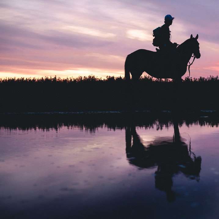 Schattenbild des Mannes, der Pferd auf See während Sonnenuntergang reitet Schiebepuzzle online