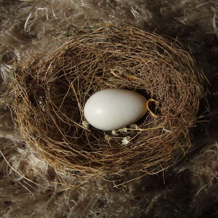 bílé vejce na hnědé hnízdo online puzzle