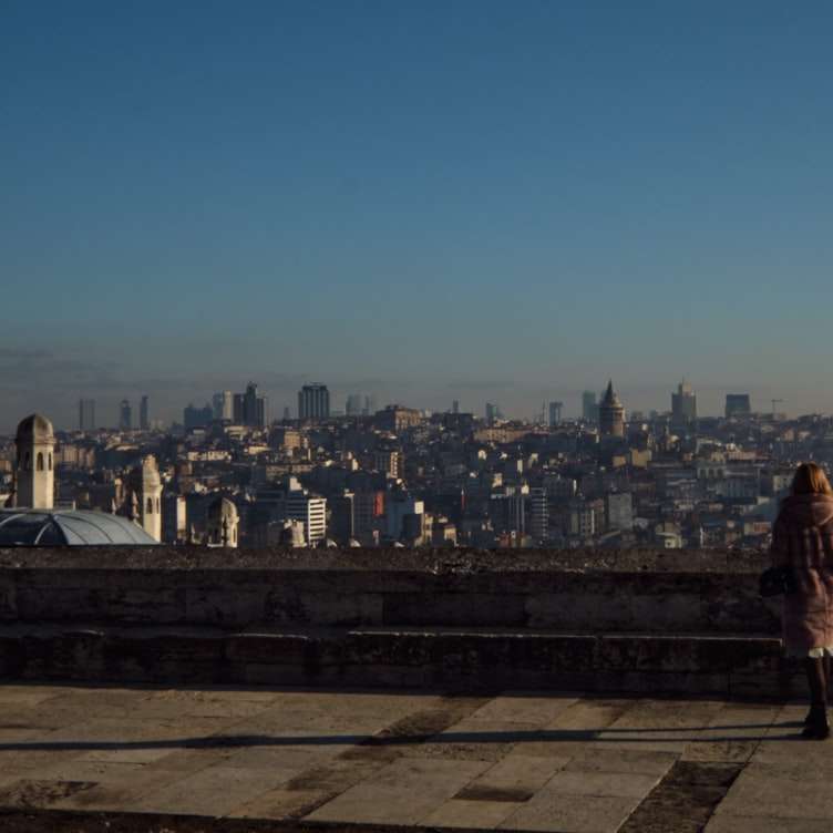 žena v hnědém kabátě, stojící na vrcholu budovy posuvné puzzle online