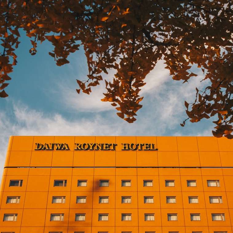 żółty betonowy budynek w pobliżu brązowego drzewa pod błękitnym niebem puzzle online