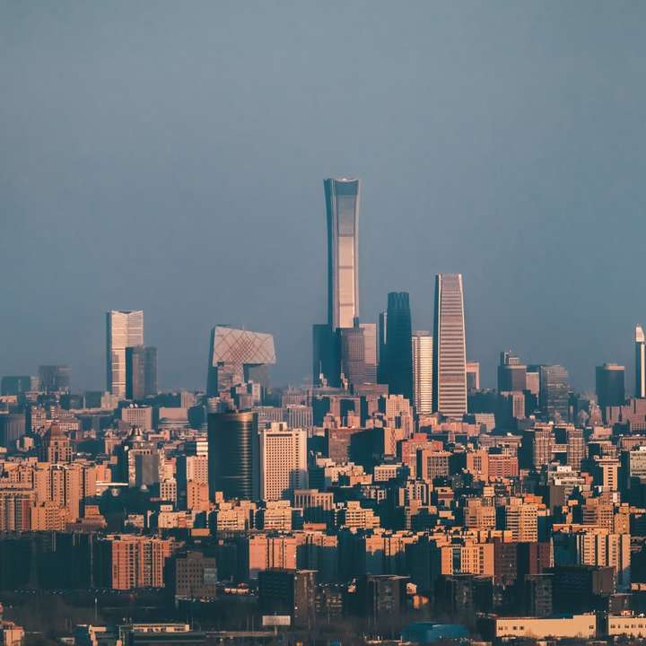 skyline van de stad onder grijze lucht overdag online puzzel