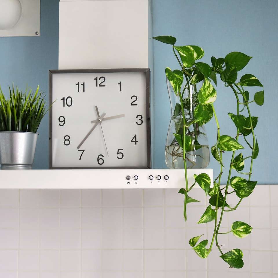зелено растение до бели стенни плочки онлайн пъзел