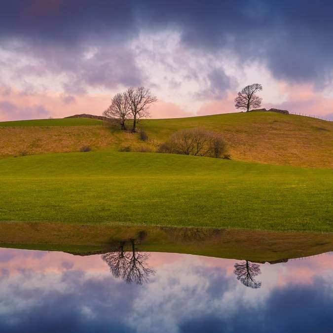 zielona trawa pole pod zachmurzonym niebem w ciągu dnia puzzle online