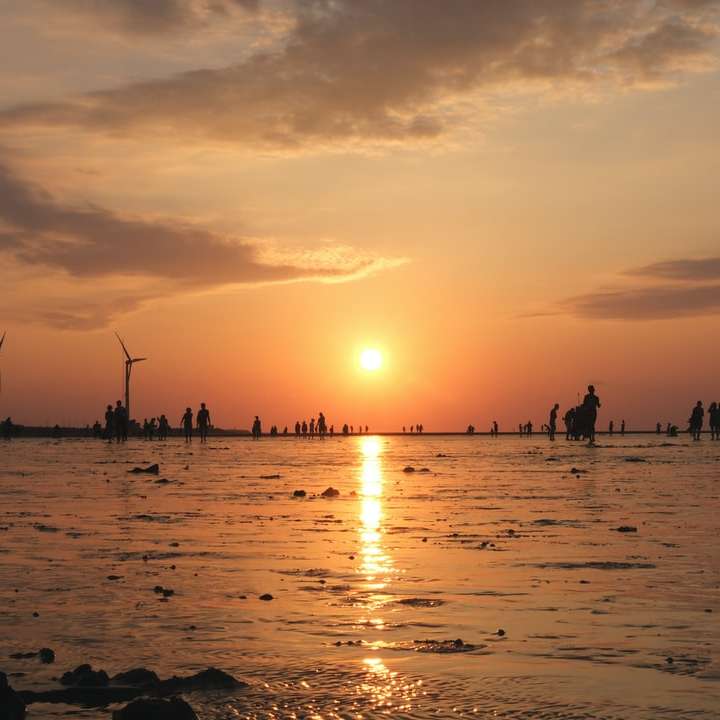 mensen op strand tijdens zonsondergang online puzzel