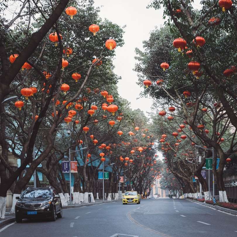 czerwone i białe drzewa na ulicy w ciągu dnia puzzle online