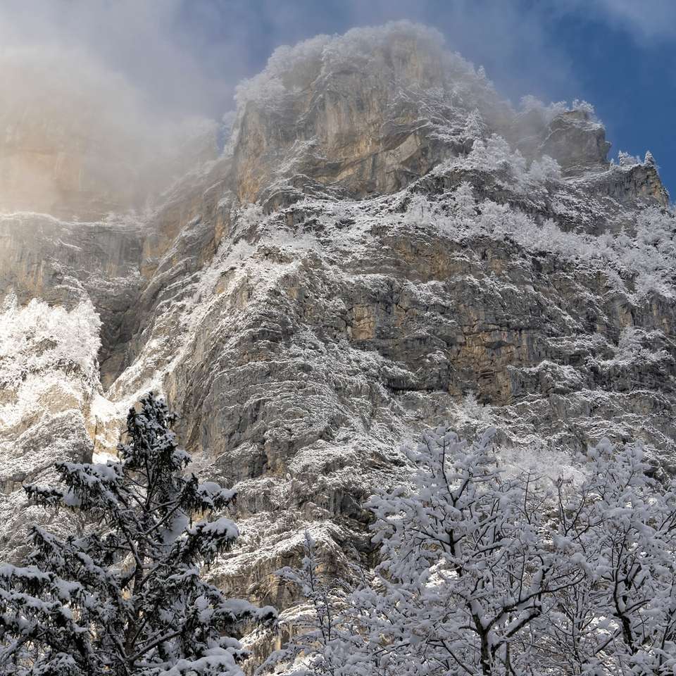 χιονισμένα δέντρα και βουνό συρόμενο παζλ online