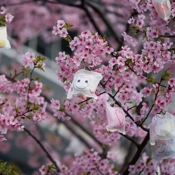 rózsaszín és fehér virágok tilt shift lencsében csúszó puzzle online