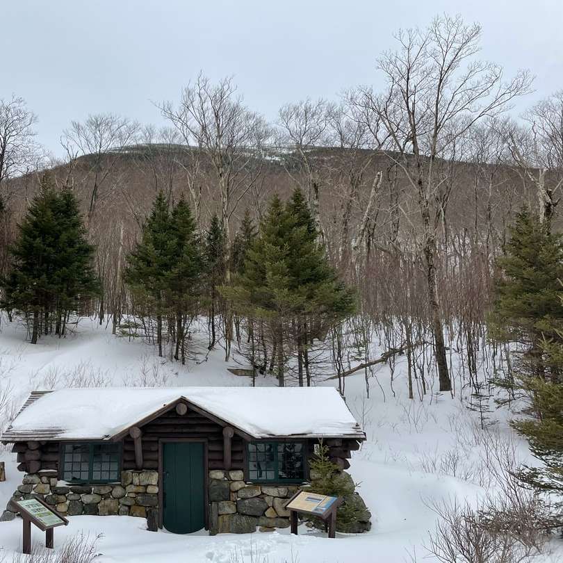 brązowy drewniany dom na ziemi pokrytej śniegiem puzzle przesuwne online