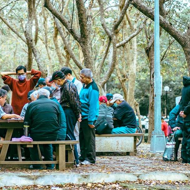 oameni care stau pe o bancă de lemn maro în timpul zilei alunecare puzzle online