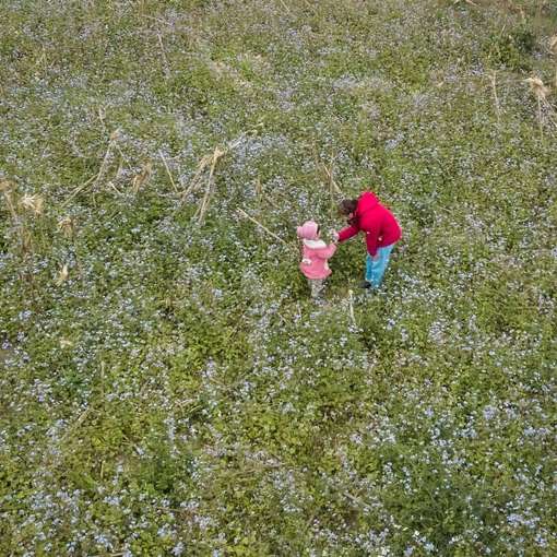fille en veste rose marchant sur le champ d & # 39; herbe verte puzzle coulissant en ligne