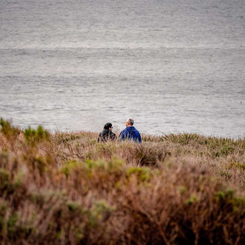 Mann und Frau sitzen auf Grasfläche in der Nähe von Gewässern Online-Puzzle