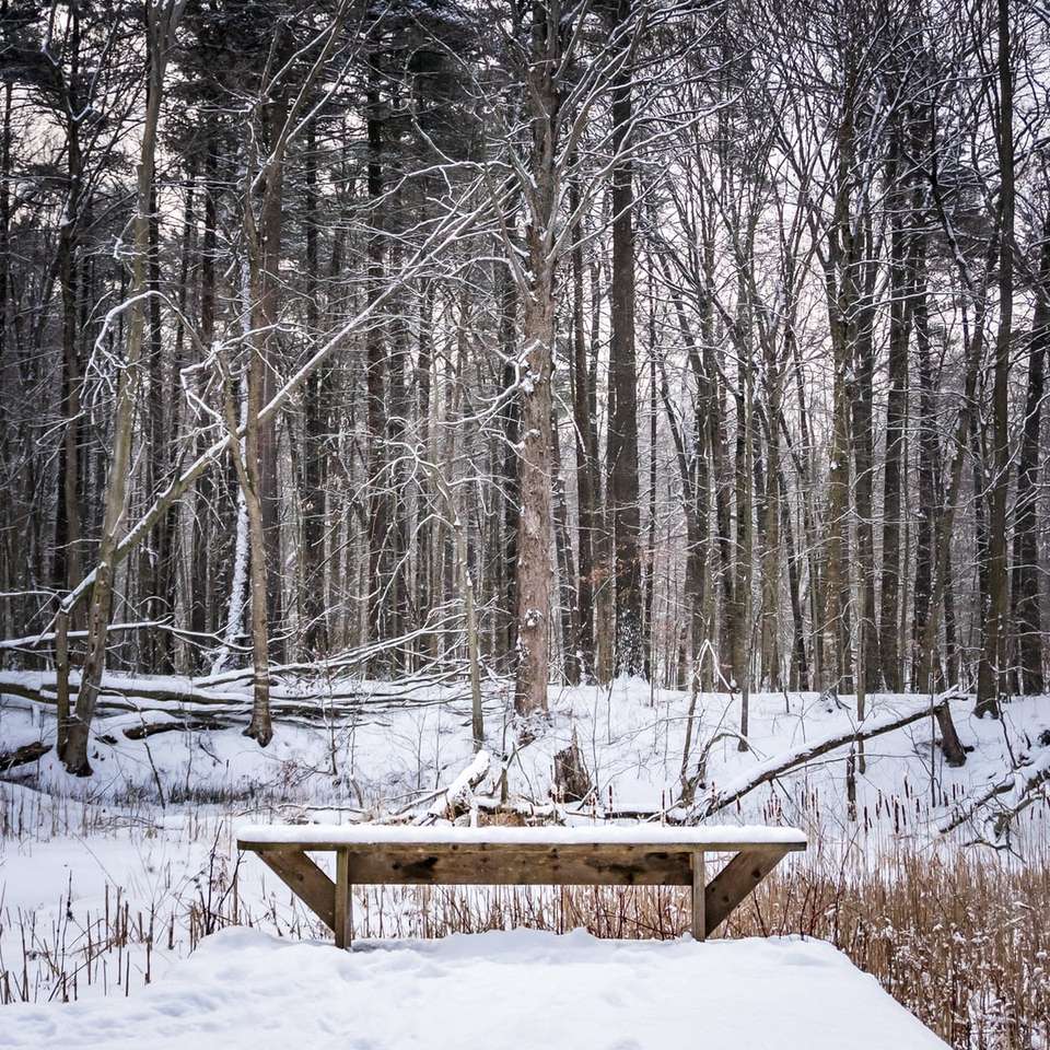 barna fa piknik asztal a havas talajon csúszó puzzle online