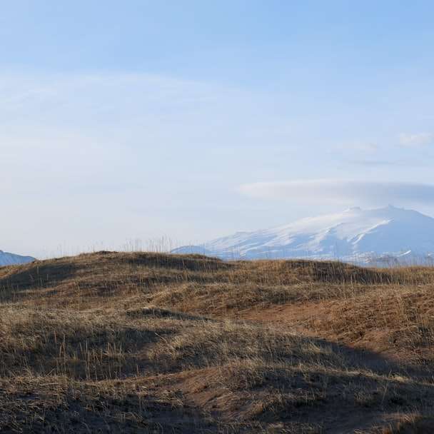 campo de grama marrom perto de montanha sob céu azul puzzle deslizante online