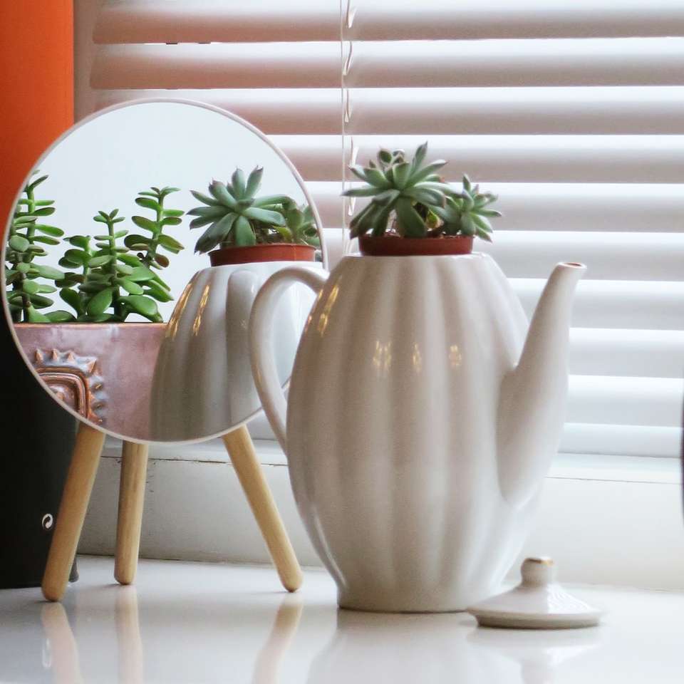 Tetera de cerámica blanca con planta verde sobre mesa de madera marrón rompecabezas en línea
