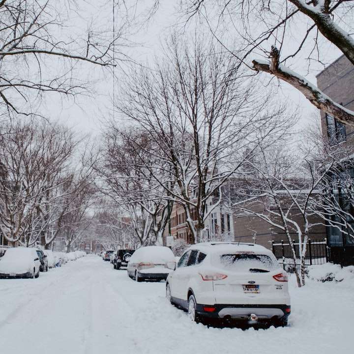 Voitures couvertes de neige garées sur route couverte de neige pendant la journée puzzle coulissant en ligne
