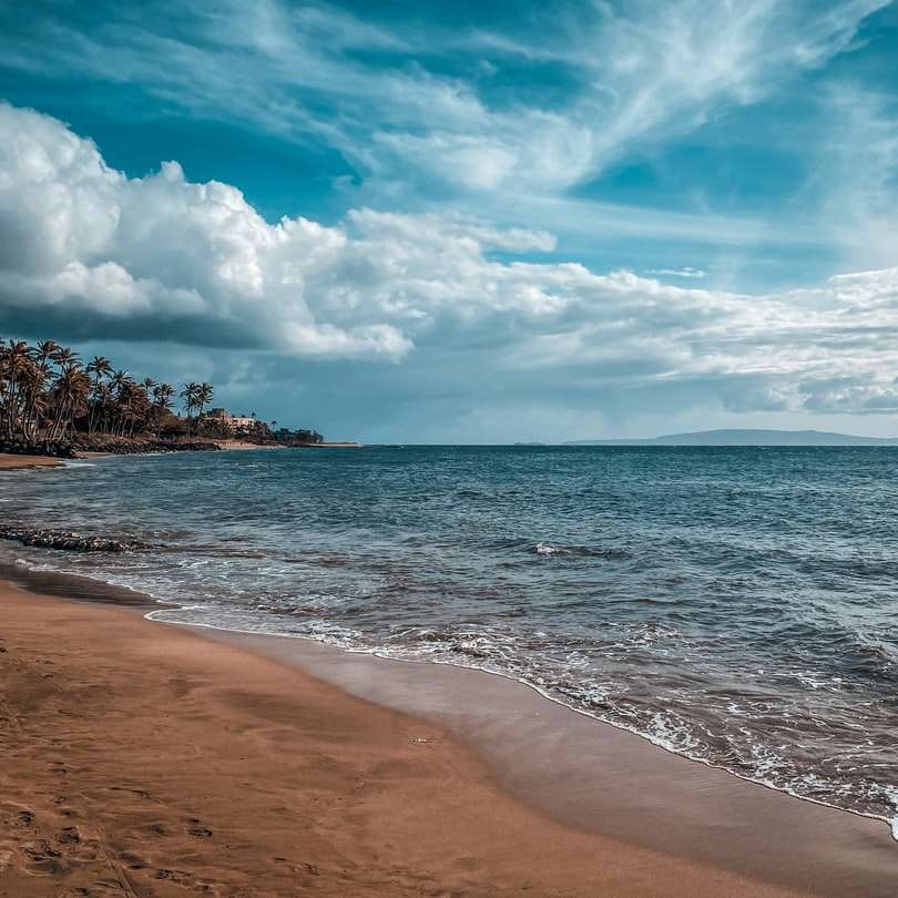 Olas del mar rompiendo en la orilla bajo el cielo nublado azul y blanco puzzle deslizante online