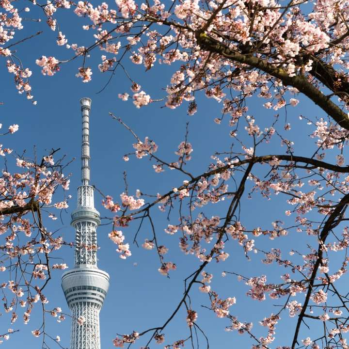 biało-szara betonowa wieża pod błękitnym niebem w ciągu dnia puzzle online