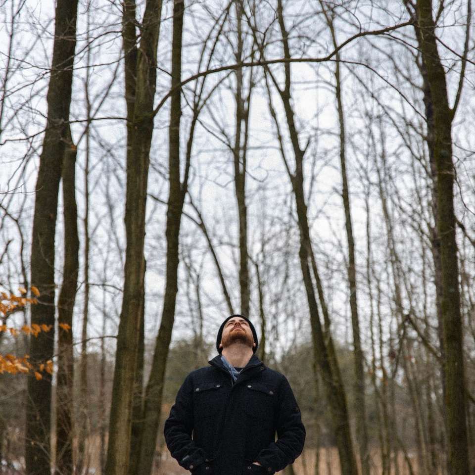 man in black jacket standing in the middle of bare trees sliding puzzle online