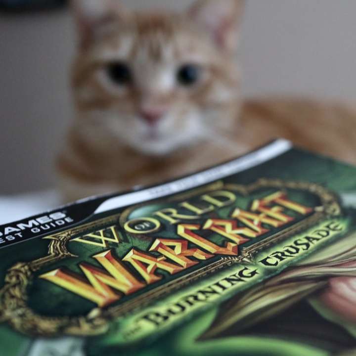 hnědá mourovatá kočka na zeleném a bílém textilu online puzzle